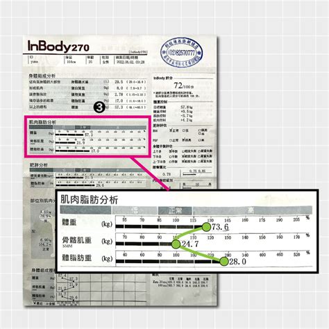 體型分析|看不懂INBODY數據怎麼辦！專業教練簡單解析C、I。